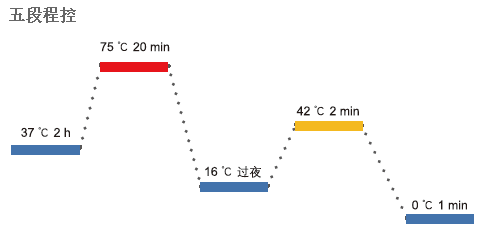 T3[G35Q9XEG)WKOX%K7)QI6.png T3[G35Q9XEG)WKOX%K7)QI6.png