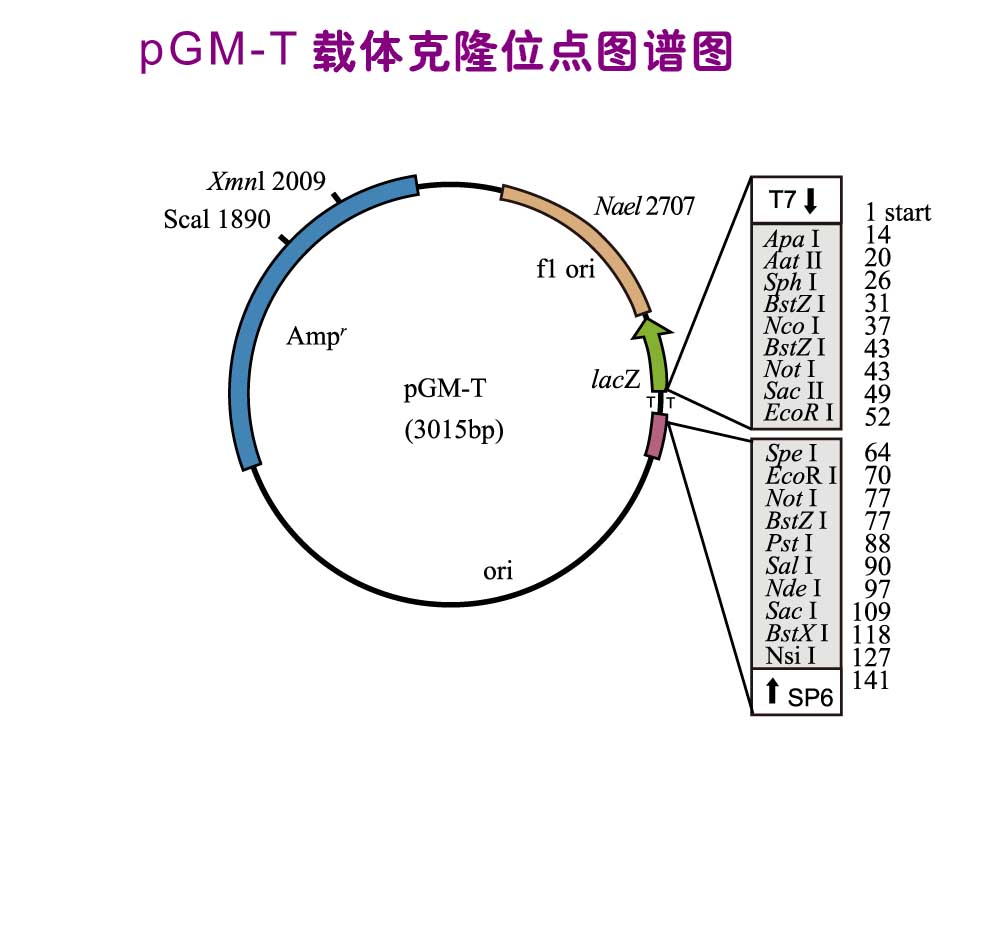 20120720060306774.jpg 20120720060306774.jpg