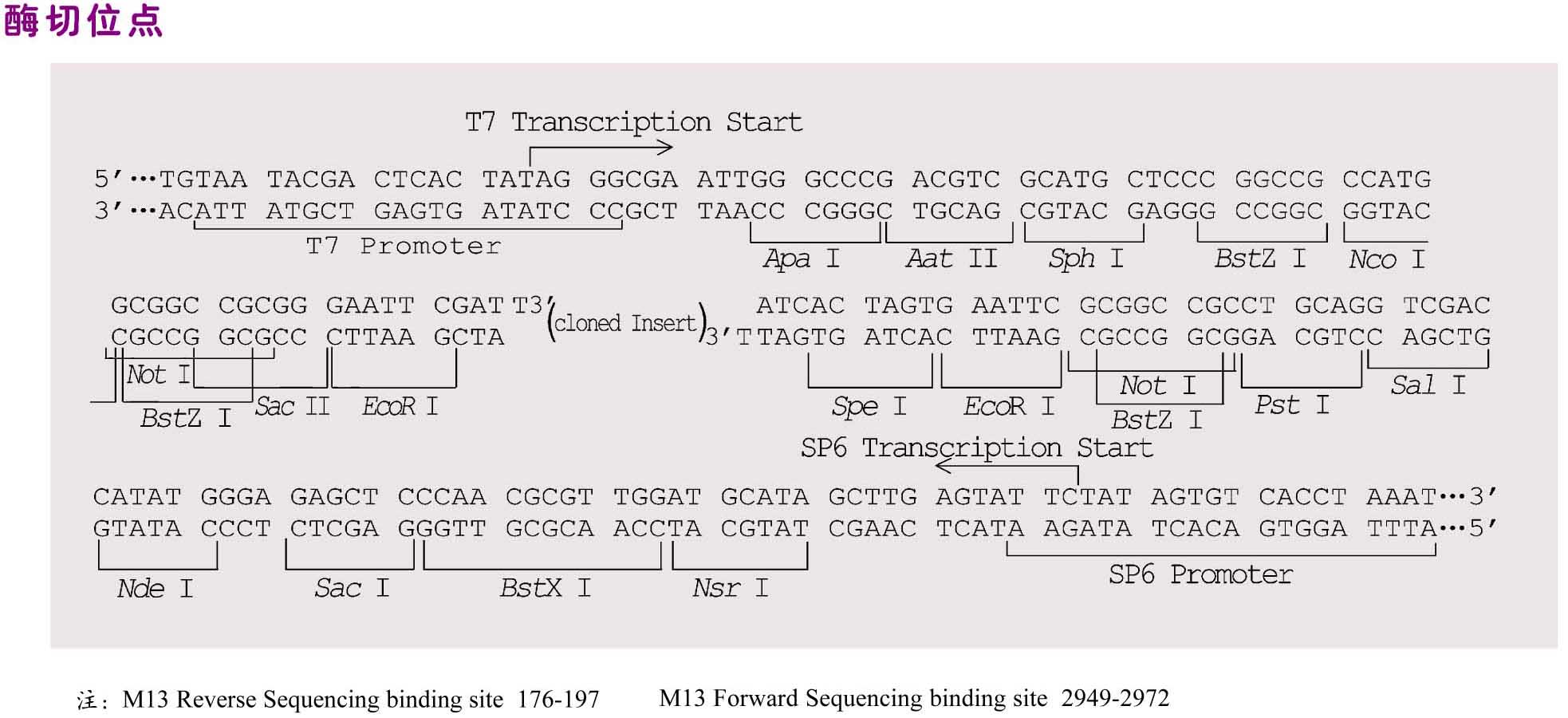 20120720060238199.jpg 20120720060238199.jpg