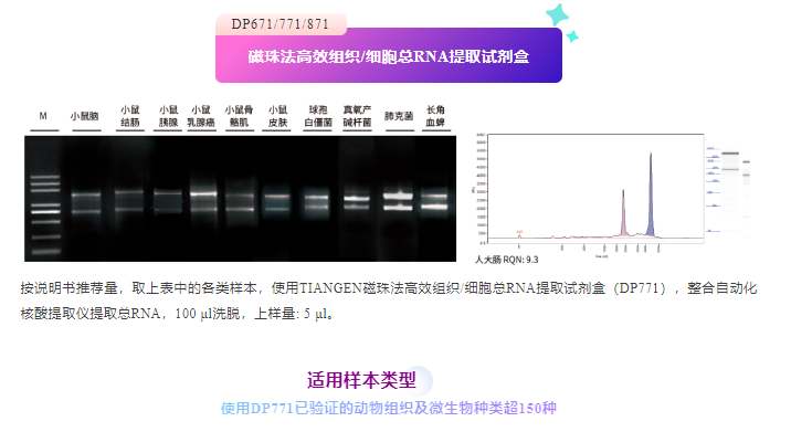 QQ_1741568228411.png