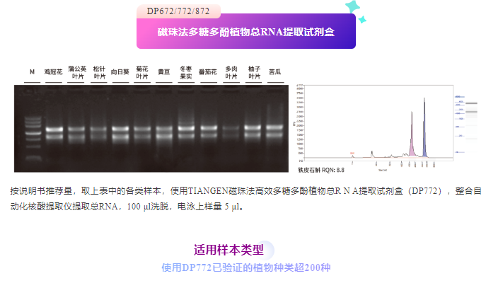 QQ_1741569384607.png