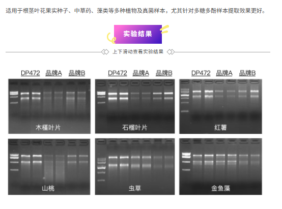 QQ_1778307081161.png