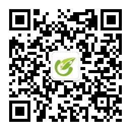 技术支持
